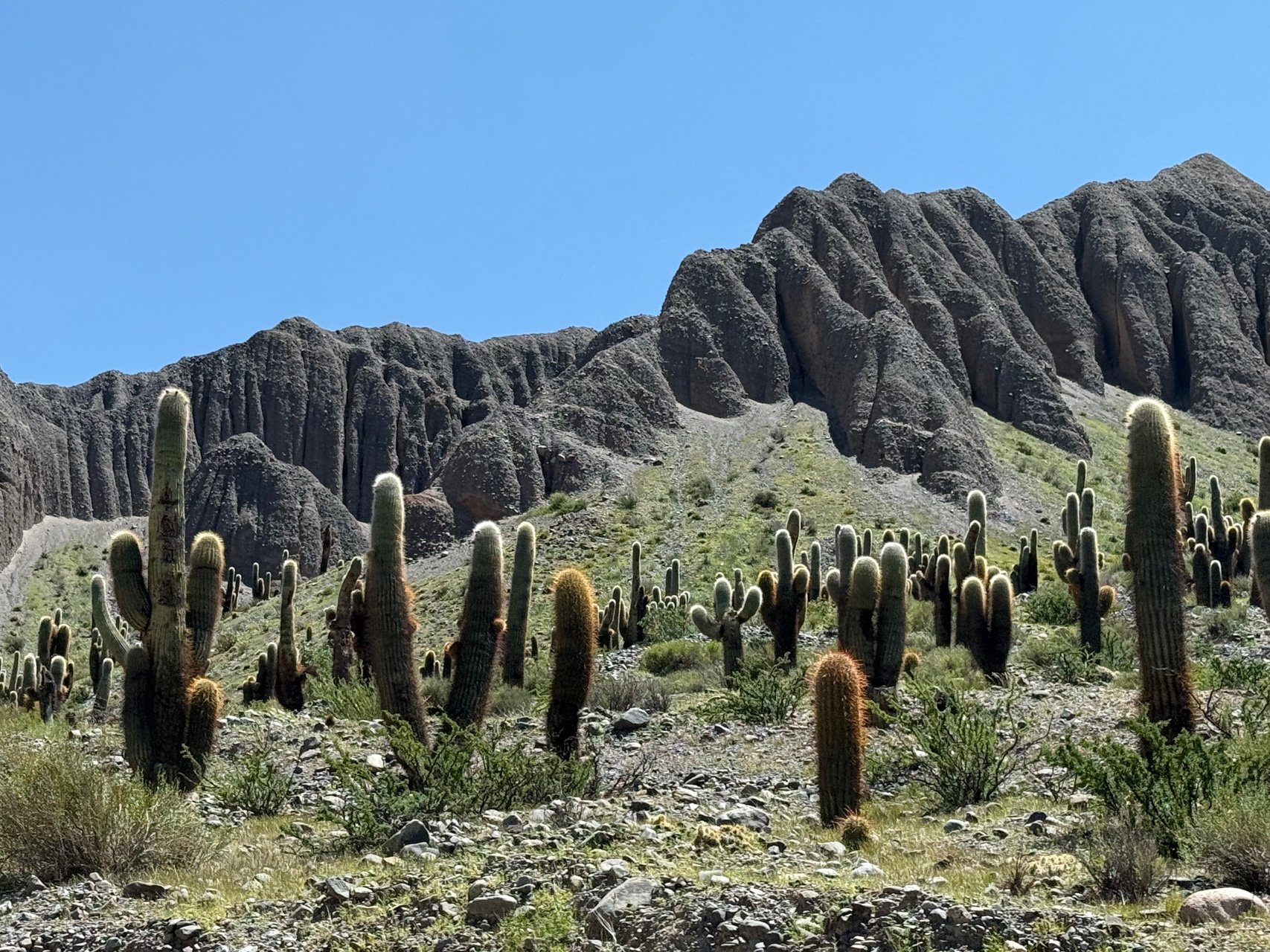 25ARG_Jujuy_SantuarioDelAgua_iPhone_02017